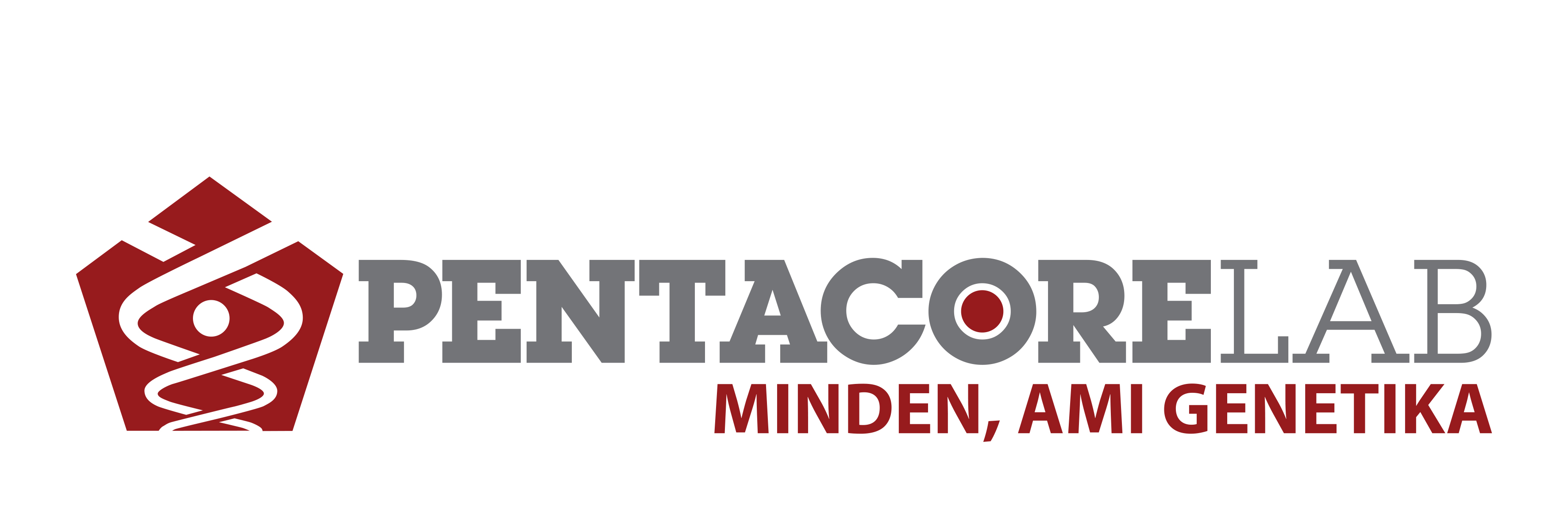 pentacore logo egysor